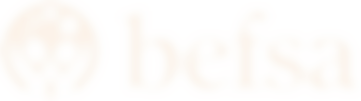 Borien Educational Foundation For Southern Africa (Befsa) | Charici