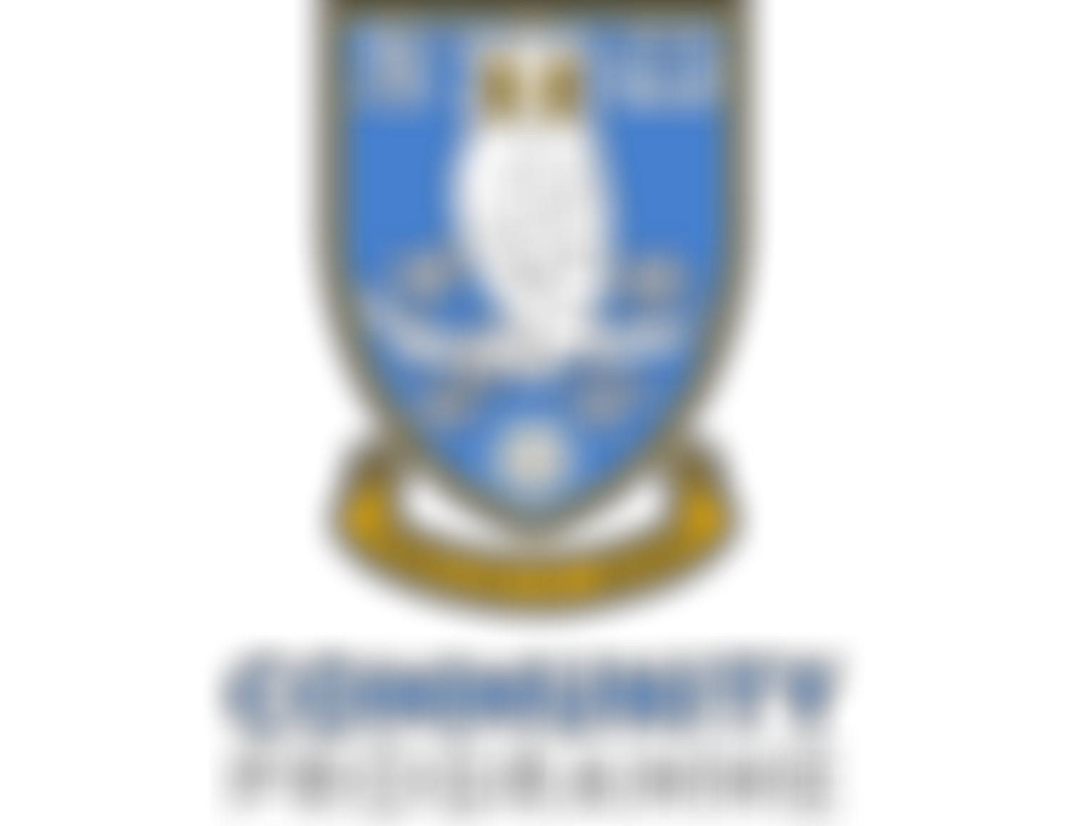 Sheffield Wednesday Football Club Community Programme | Charici