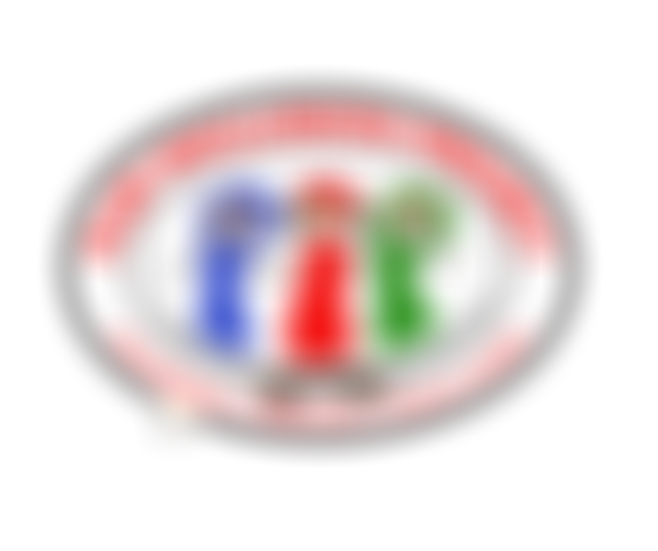 Play Inclusion Project (Pip) | Charici