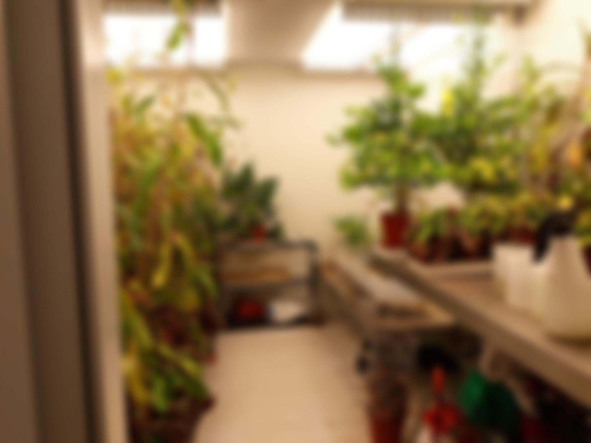 UK Controlled Environment User's Group | Charici