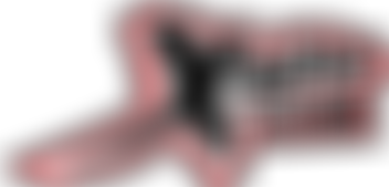 Lincolnshire Extreme Sports Association | Charici