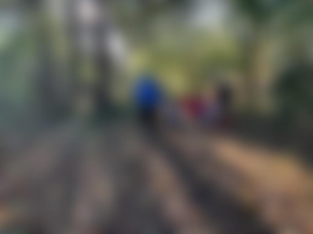Bramfield Stepping Stones Pre-School | Charici