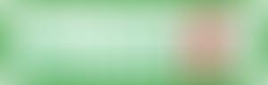 North Dorset Disability Information Service (Norddis) | Charici