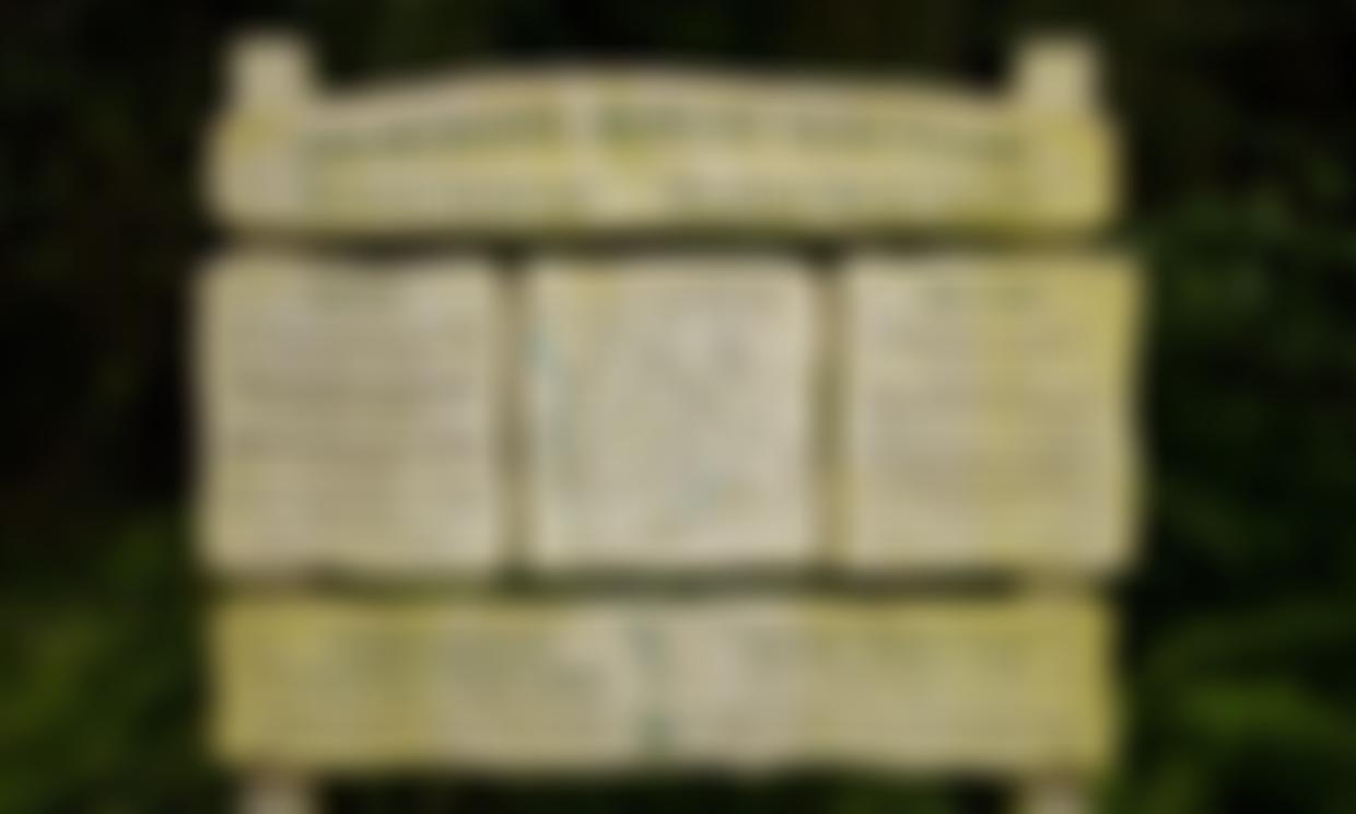 The Eternal Forest Trust Limited | Charici