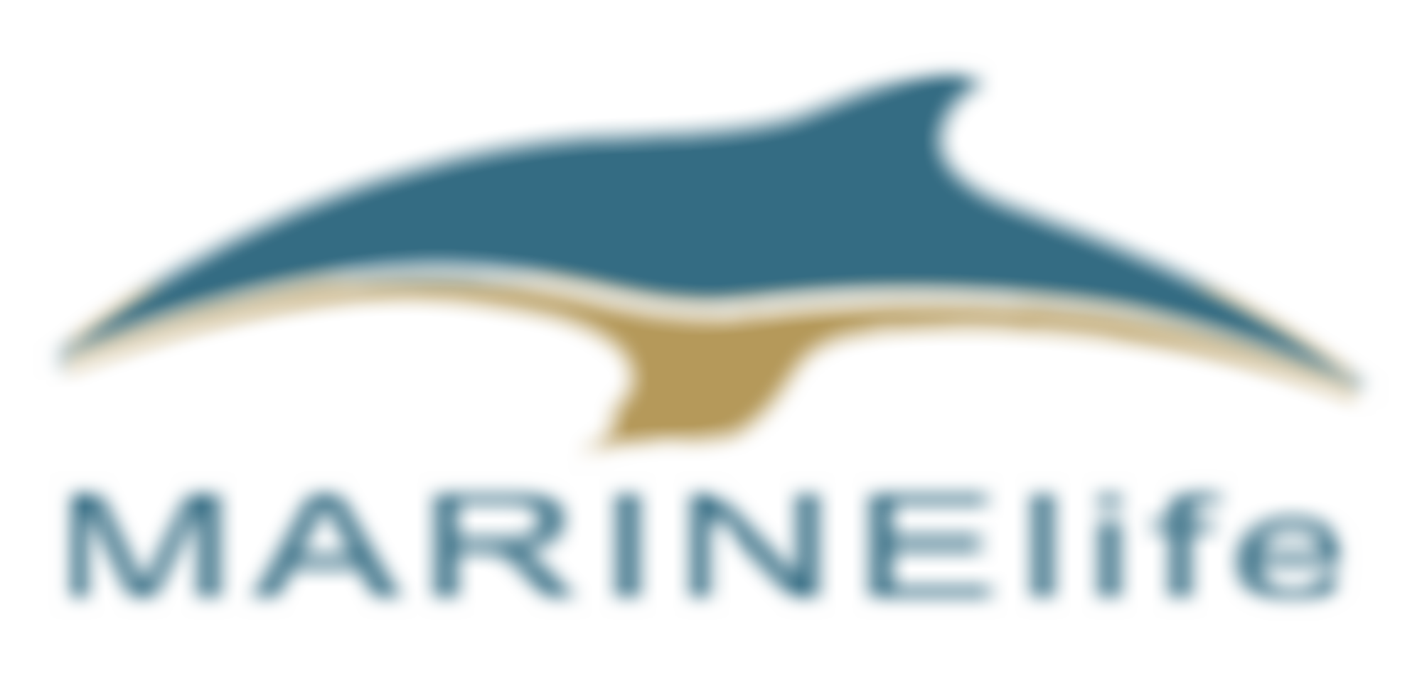 Marinelife | Charici