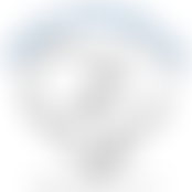 Racehorse Rehoming Centre | Charici