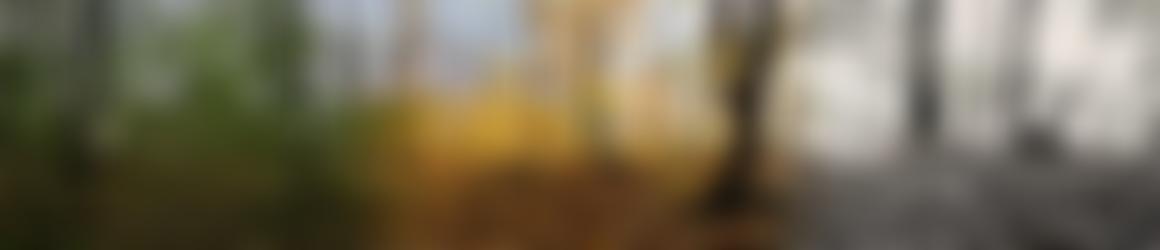 The Kosmon Sanctuary | Charici