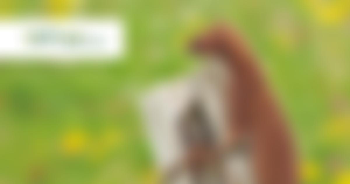 The Vincent Wildlife Trust | Charici