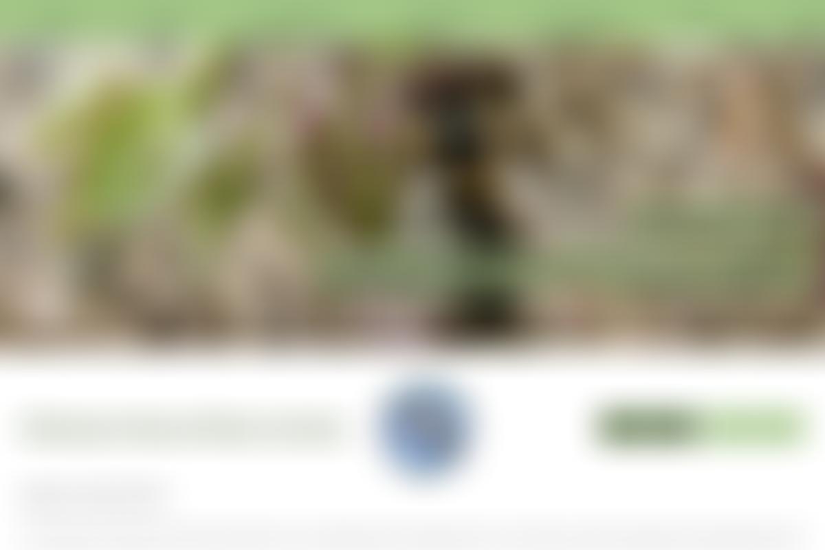 Chichester Natural History Society | Charici