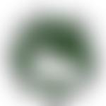 White Hart Community Groups | Charici