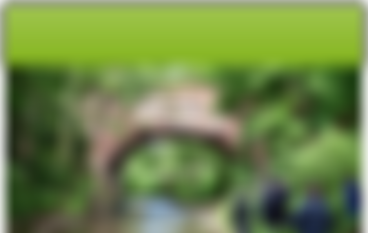 The Friends Of The Leominster Canal | Charici