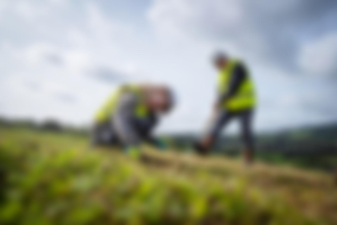 Kent Conservation & Management Limited | Charici