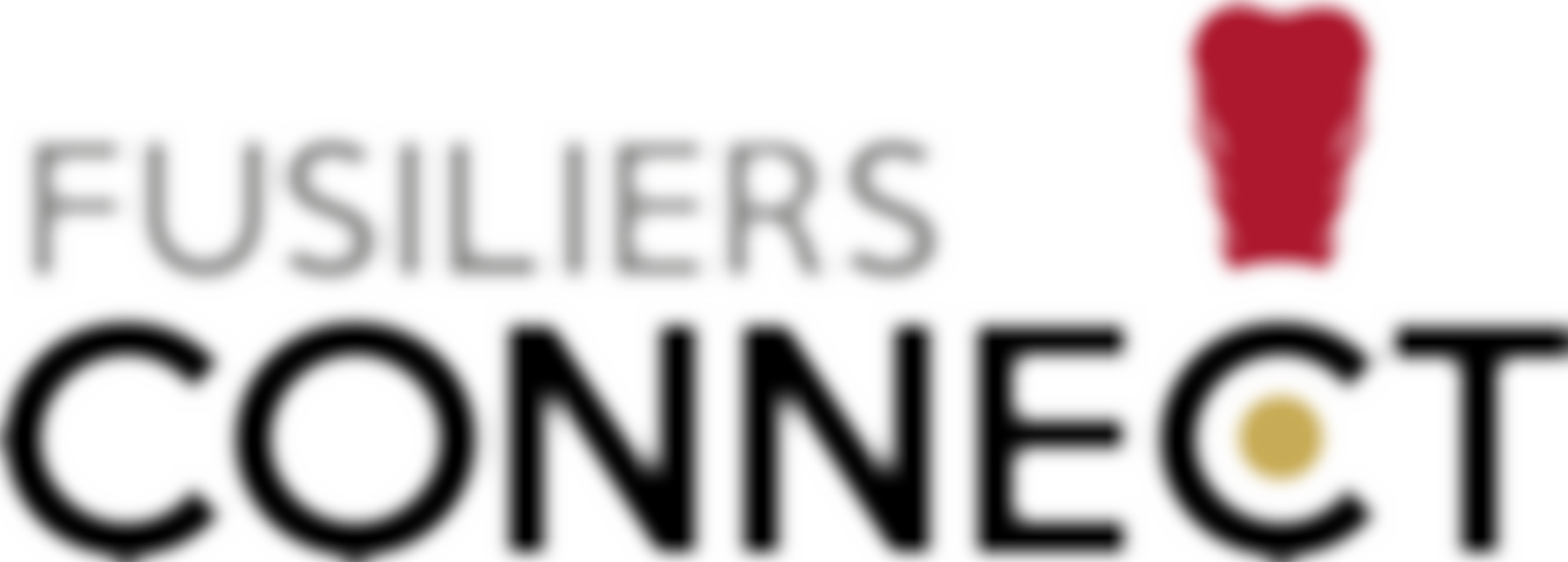 The Fusiliers London Fund | Charici