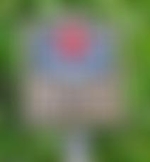 Byfleet Village Hall, Working Men's Club And Institute | Charici