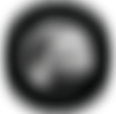 The Liszt Society Limited | Charici