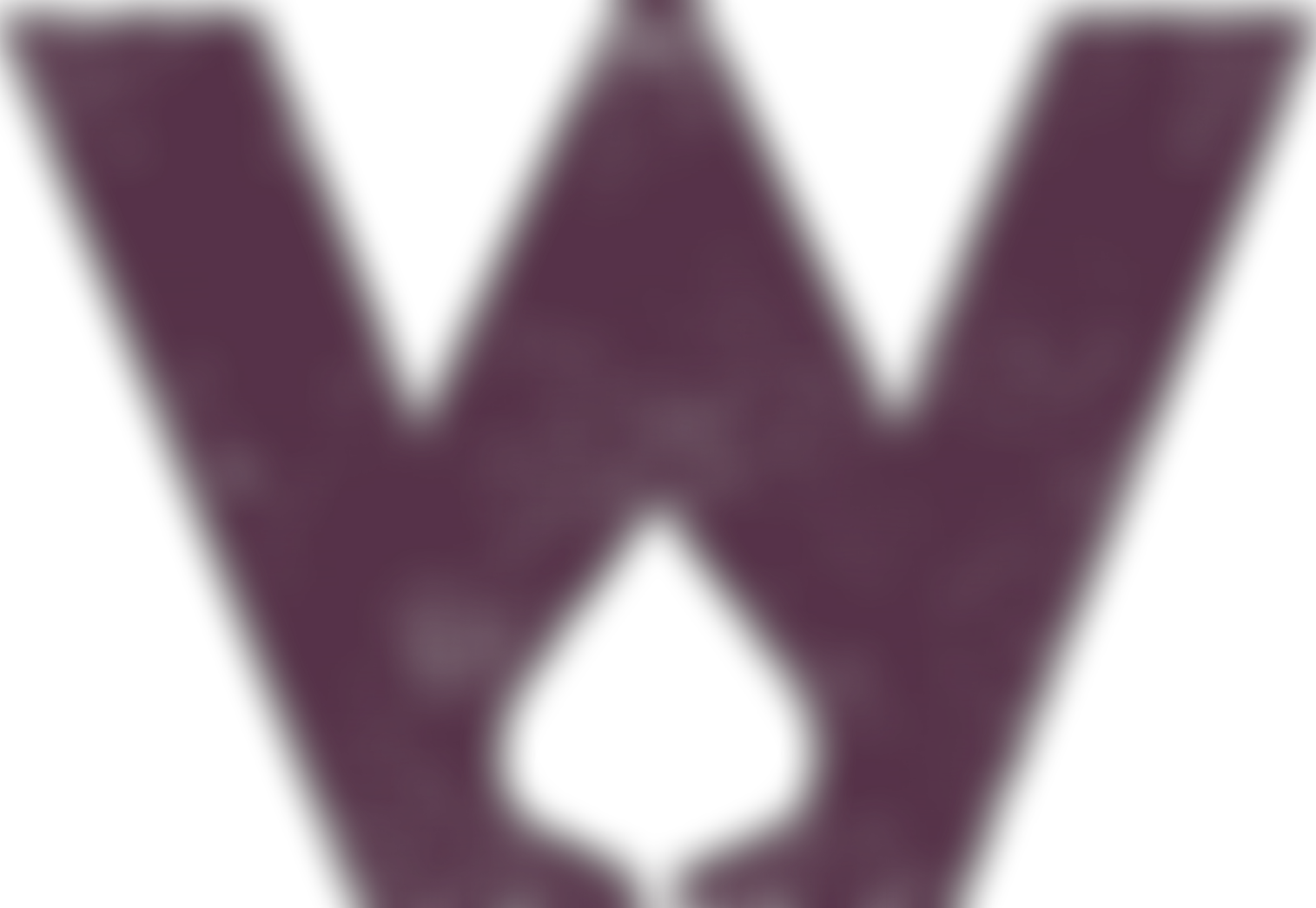 Wilderness Foundation UK | Charici