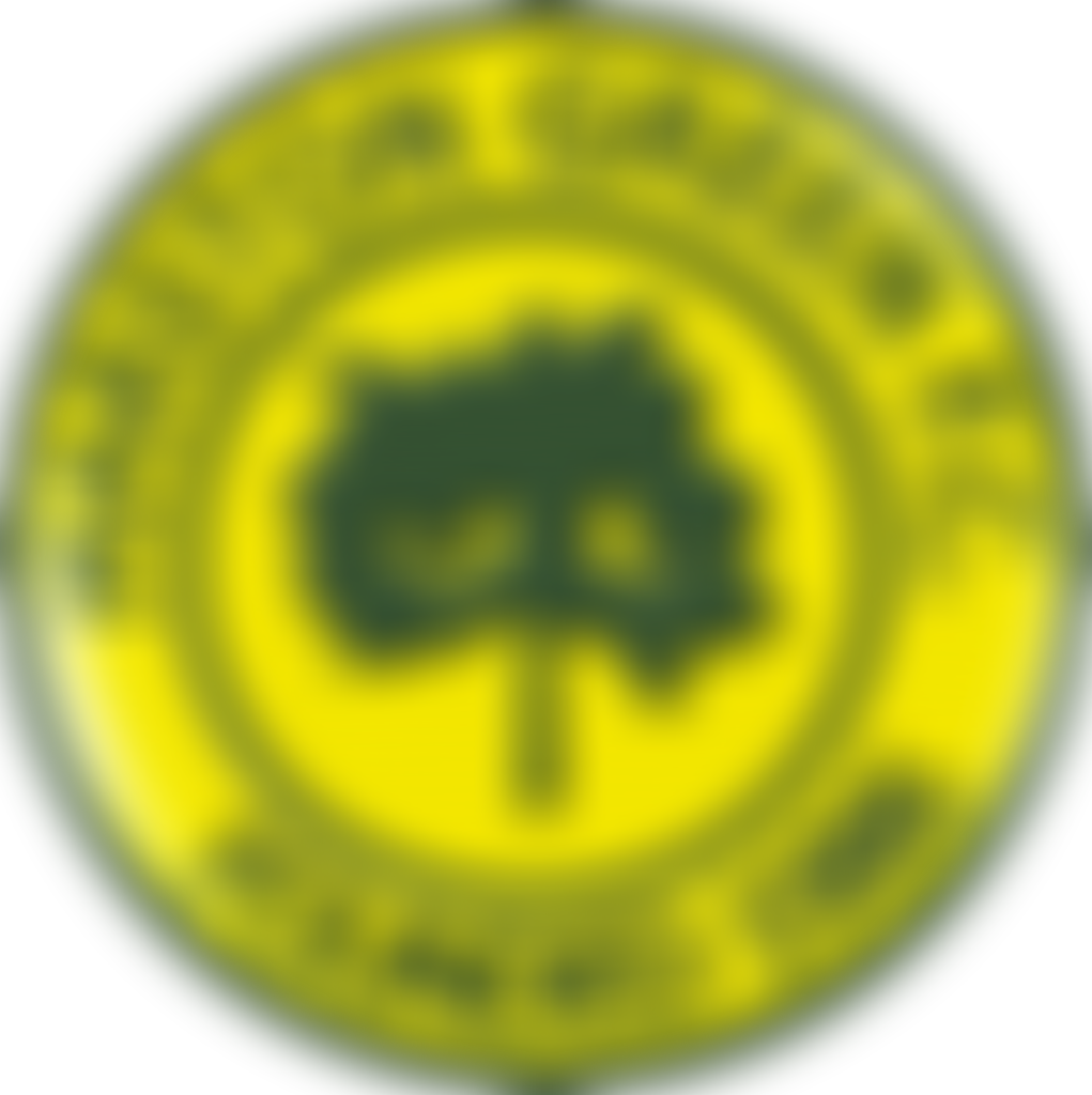Marston Green Football Club | Charici