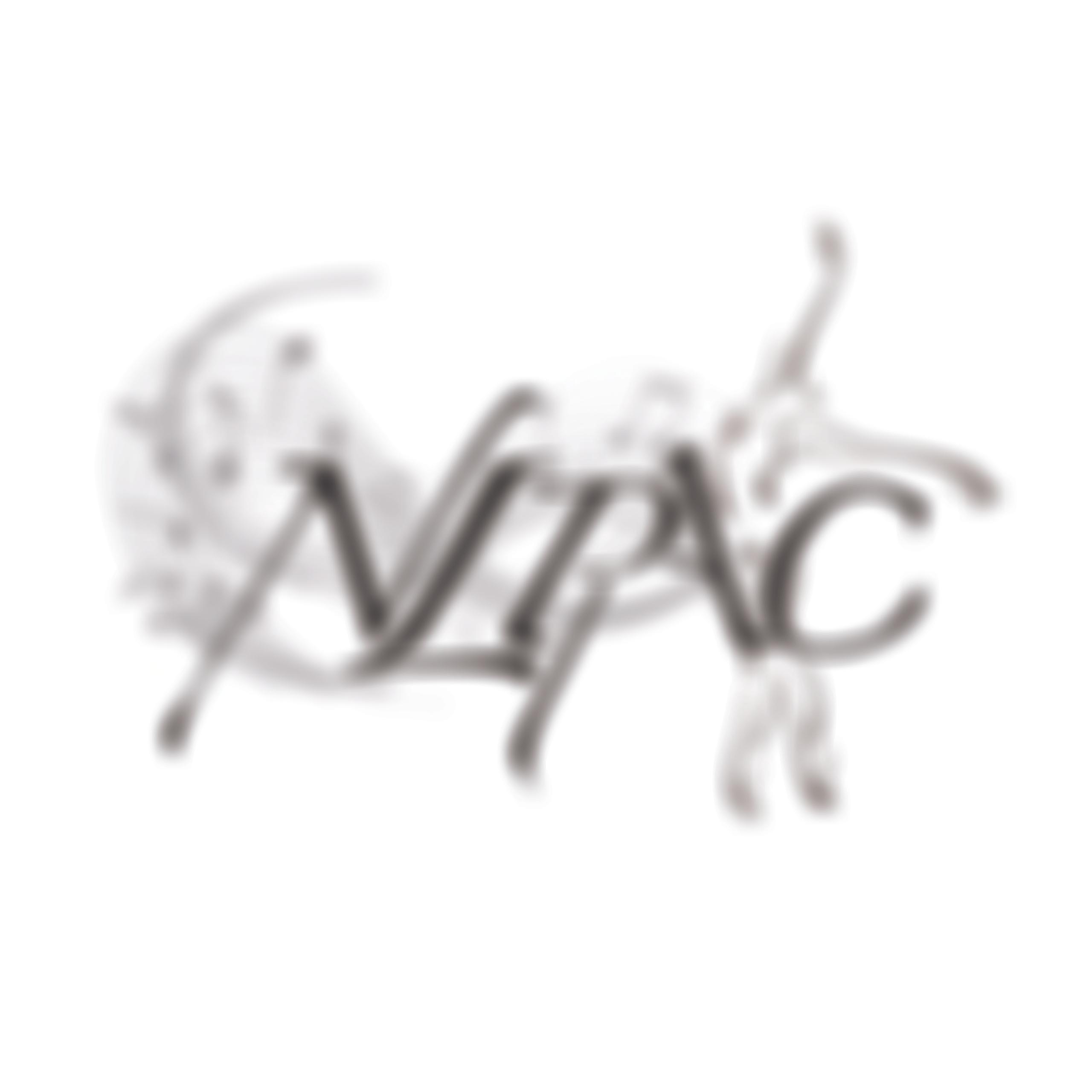 New London Performing Arts Centre Limited | Charici