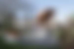 Stairway To Heaven Memorial Trust | Charici