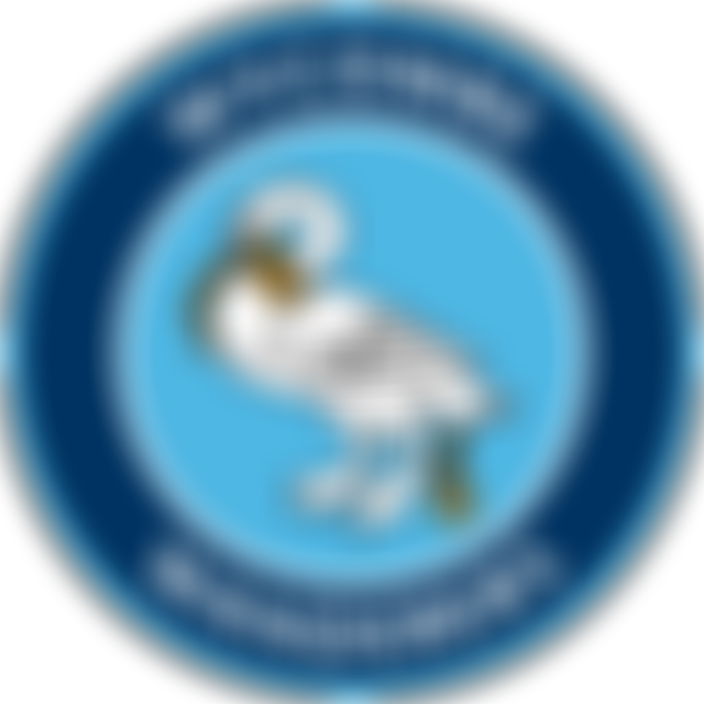 Wycombe Wanderers Foundation | Charici