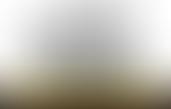 London Borough Of Sutton Neighbourhood Watch | Charici