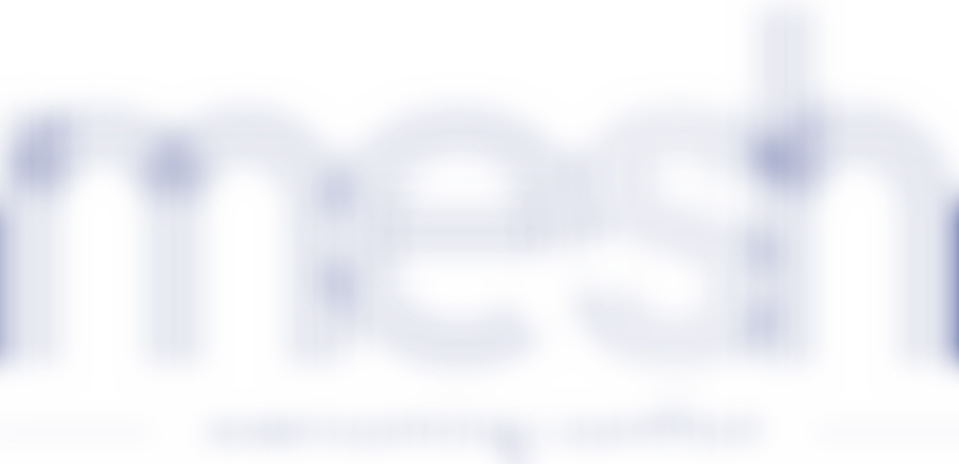 Mesh Community Cohesion Services | Charici