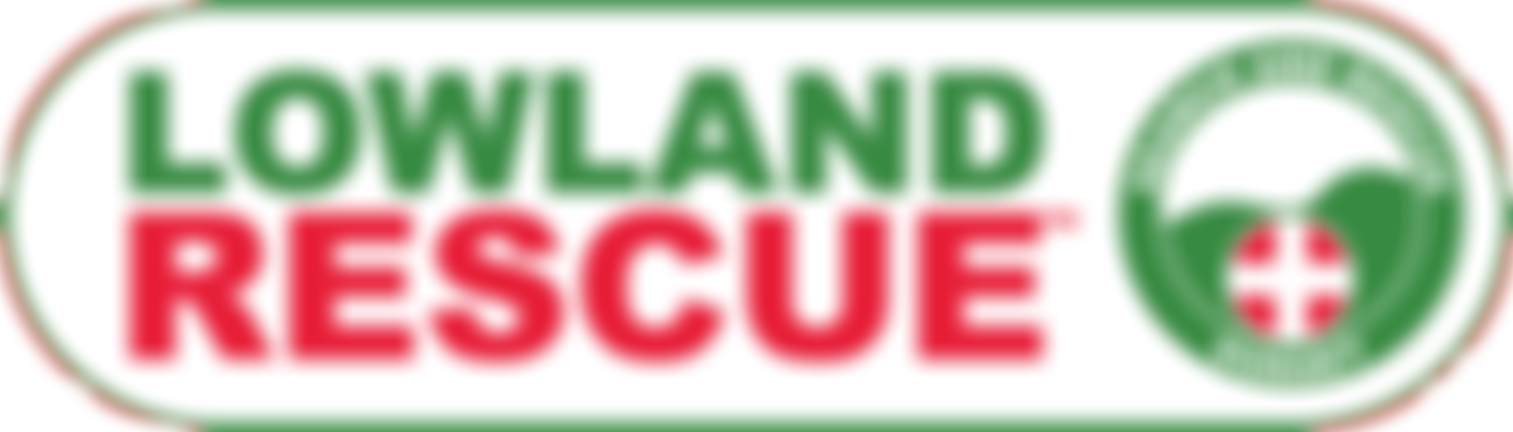 Dorset Search & Rescue (Dorsar) | Charici