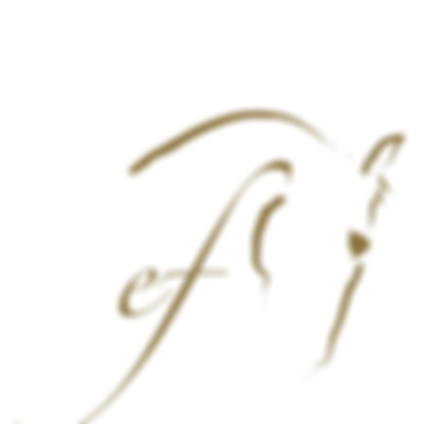 The Emile Faurie Foundation | Charici