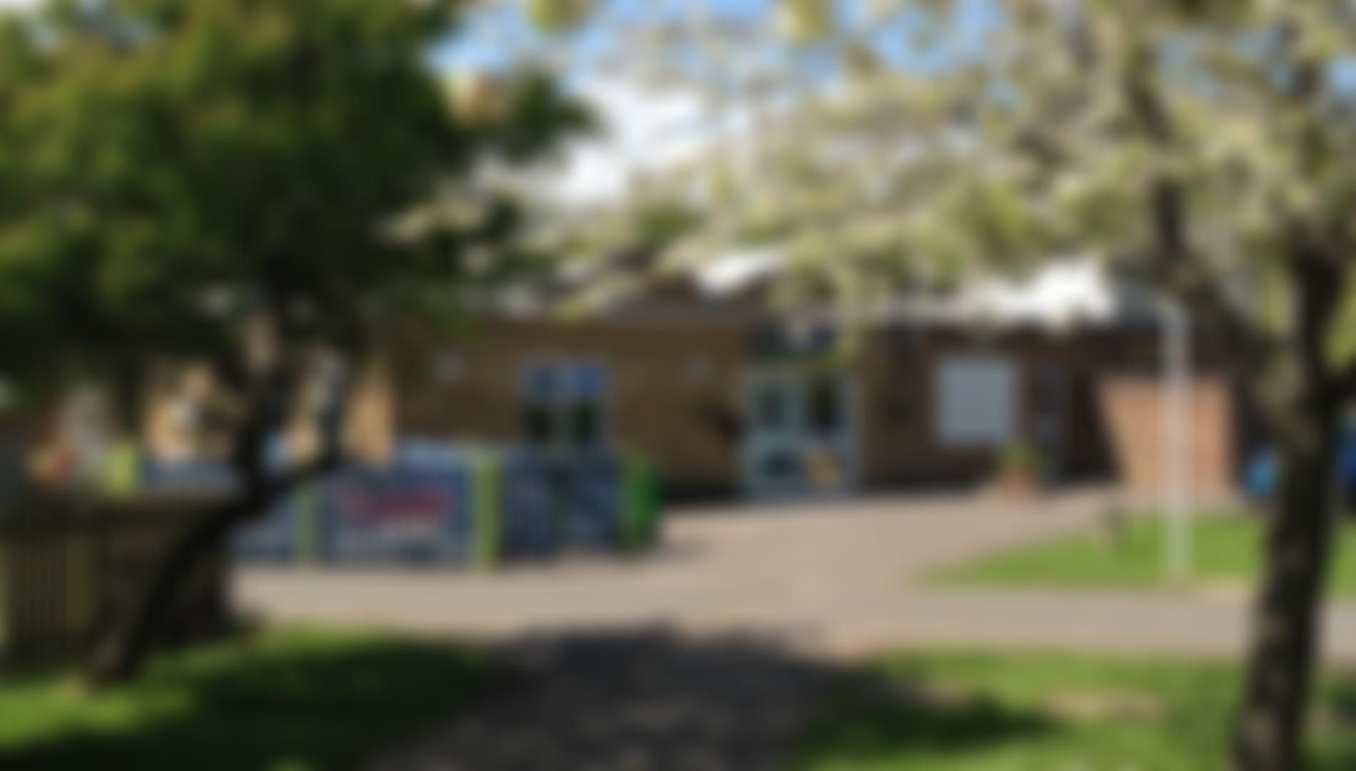 Godinton Ptfa Association | Charici