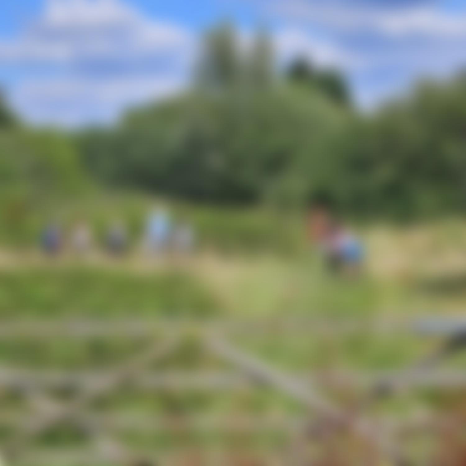 Long Lane Pasture Trust | Charici