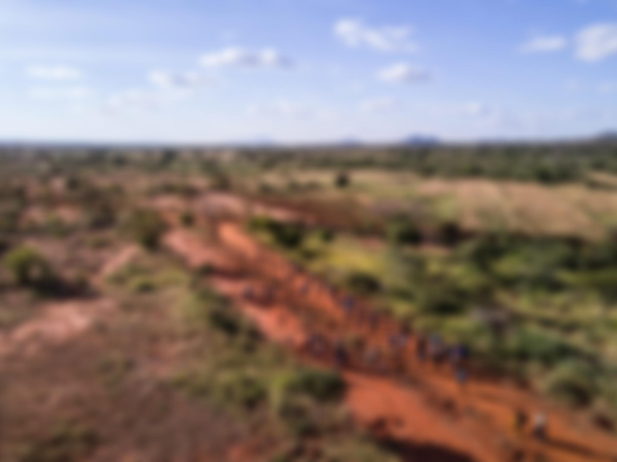 African Promise | Charici