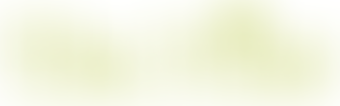 The Vine Community Centre Ltd | Charici