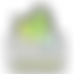 Northumbria In Bloom | Charici