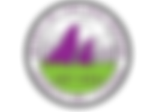 Spirit Of The Dog Rescue | Charici