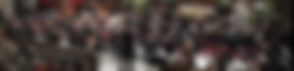 London Repertoire Orchestra | Charici