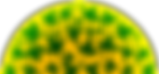 Tongham Village Hall | Charici