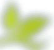 The Friends Of Shottermill Infant School | Charici