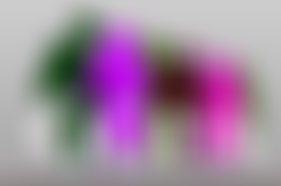 Gloucestershire Older Persons Association | Charici