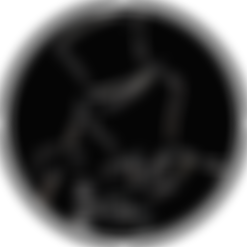 Clear Trust | Charici