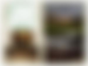 Cranleigh Riding For The Disabled Association Group | Charici