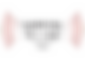 Carnival Village Trust | Charici