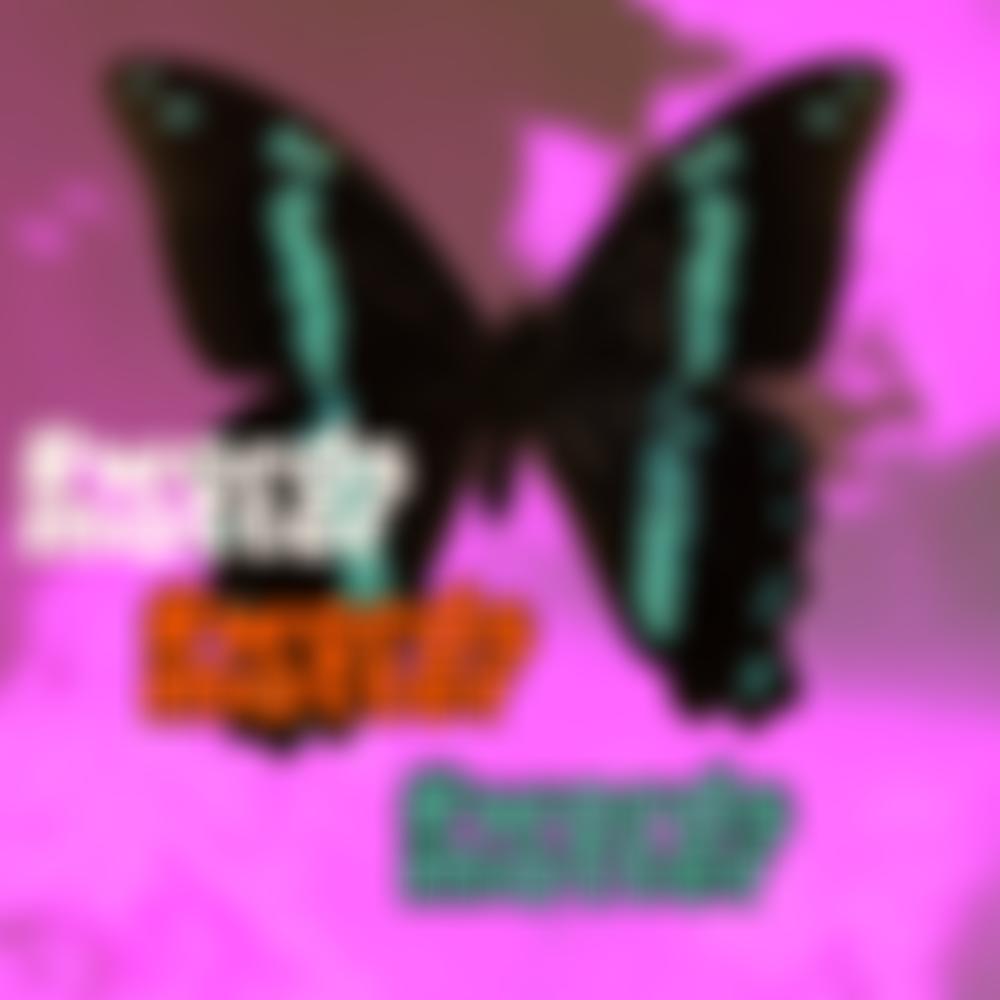 Migrants' Rights Network | Charici