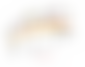 Bridge Of Hope Childrens Ministry | Charici