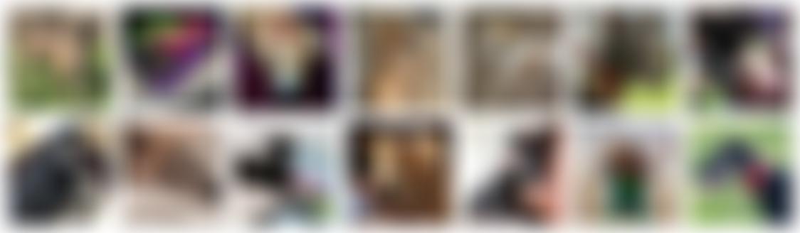 Southern Lurcher Lifeline | Charici