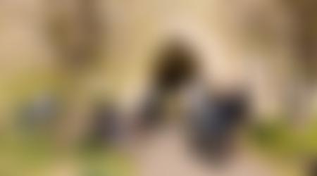 The Parochial Church Council Of The Ecclesiastical Parish Of Coggeshall With Markshall | Charici