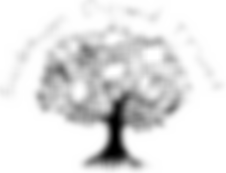 The Siobhan Dowd Trust | Charici