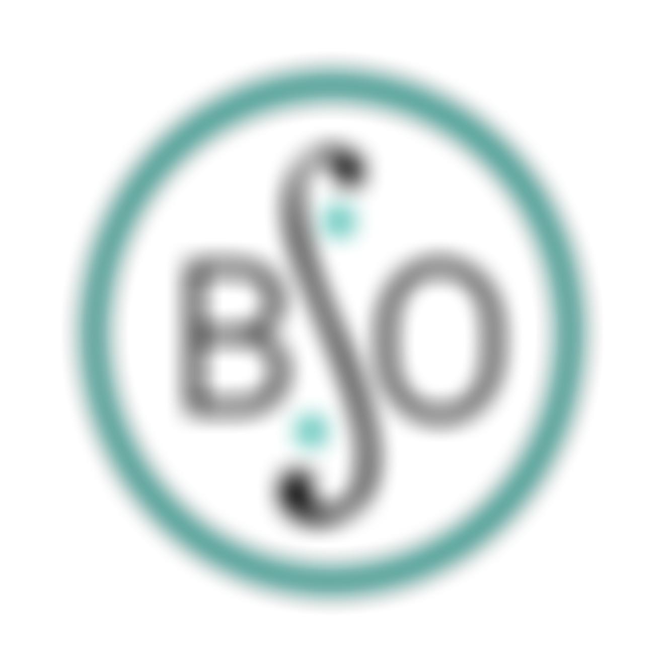 Basingstoke Symphony Orchestra | Charici