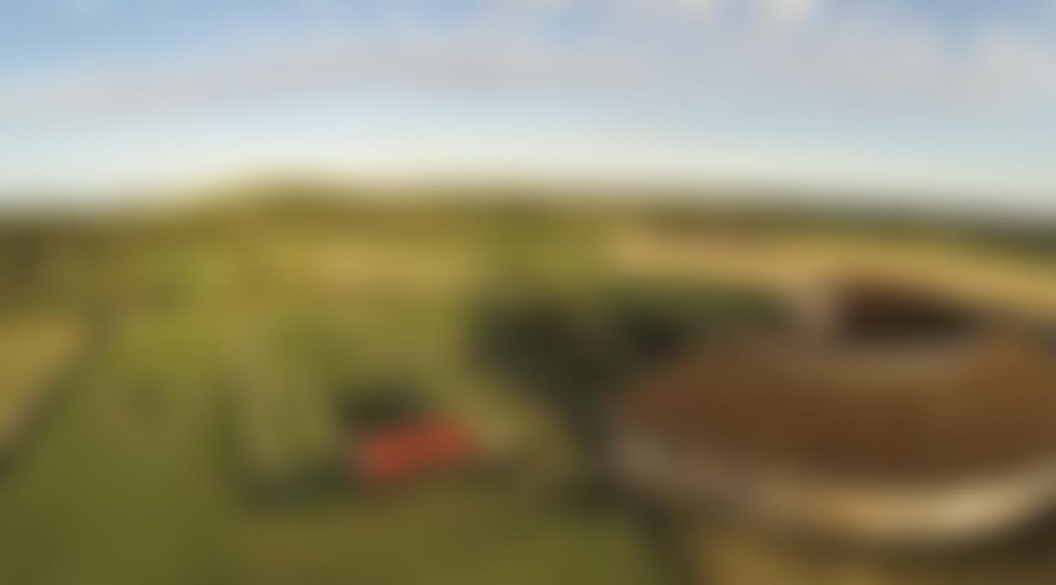 Brading Roman Villa Trust | Charici