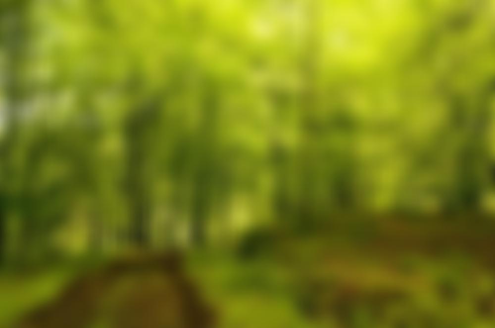 Sylva Foundation | Charici