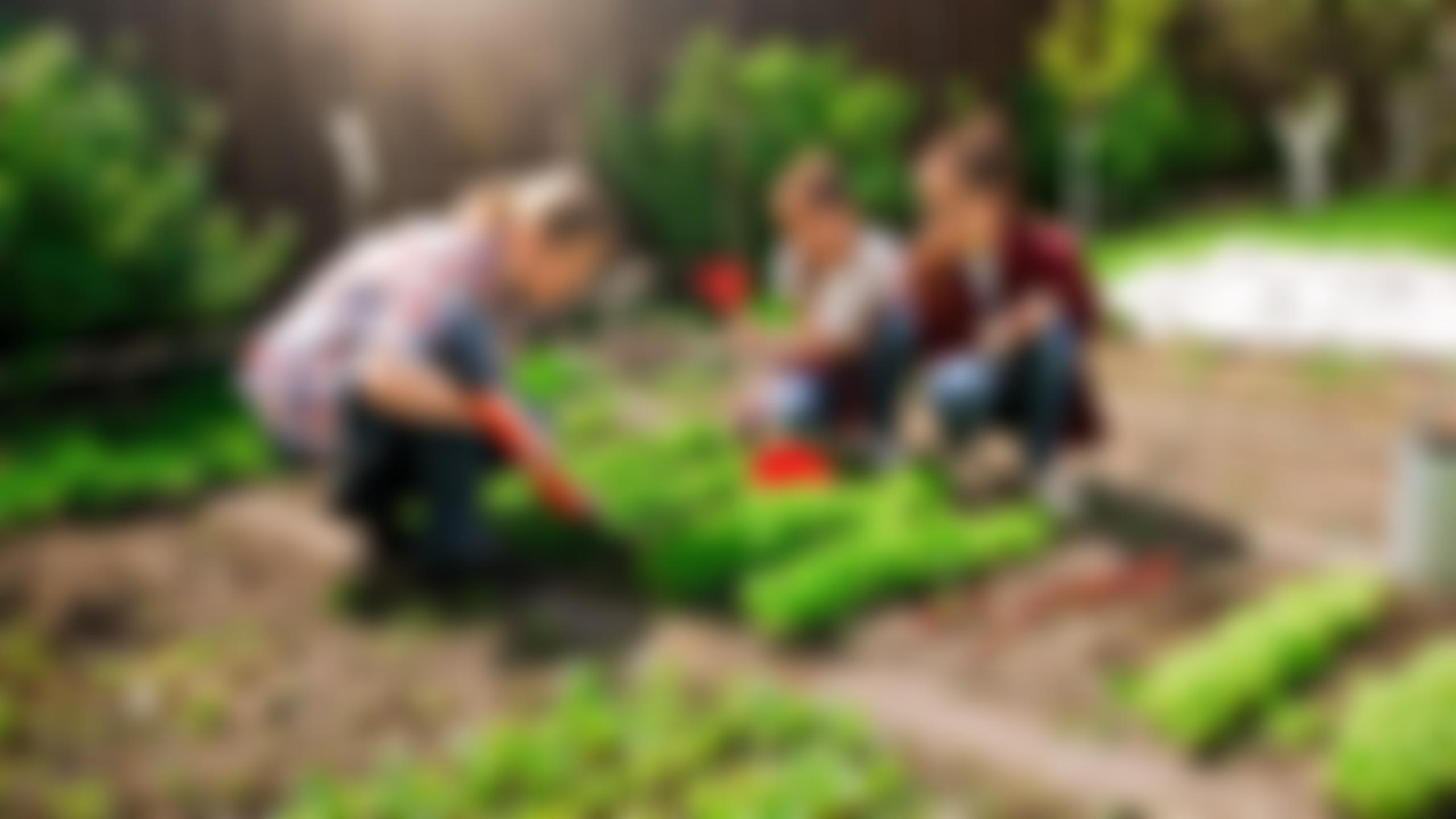 Sustainability And Environmental Education | Charici